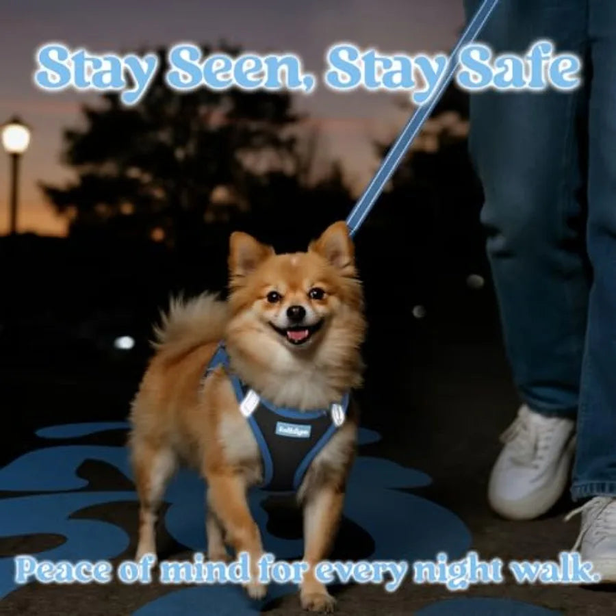 Dog Harness Small Sized and Leash Set, Step in Soft Vest Breathable Mesh, Easy Wear with Hook and Loop, .
