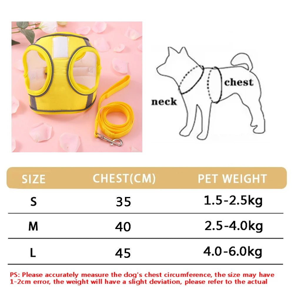 New Breathable Cute Cat Harness Set Butterfly Small Dog Harness.