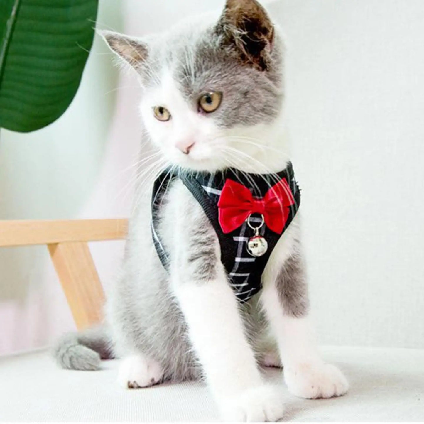 Adjustable Pet Harness with Bow Tie Leash Set Stylish Tuxedo Vest for Small Dogs and Cats .
