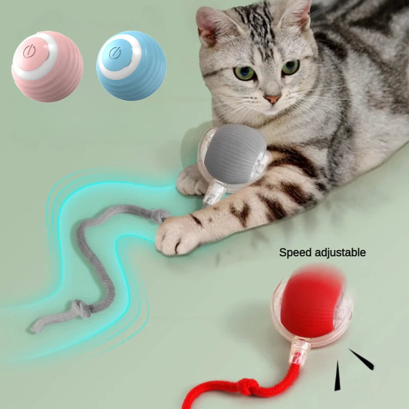 New Electric Cat Ball Toys Automatic Rolling Ball With Teaser Bird  Rechargeable