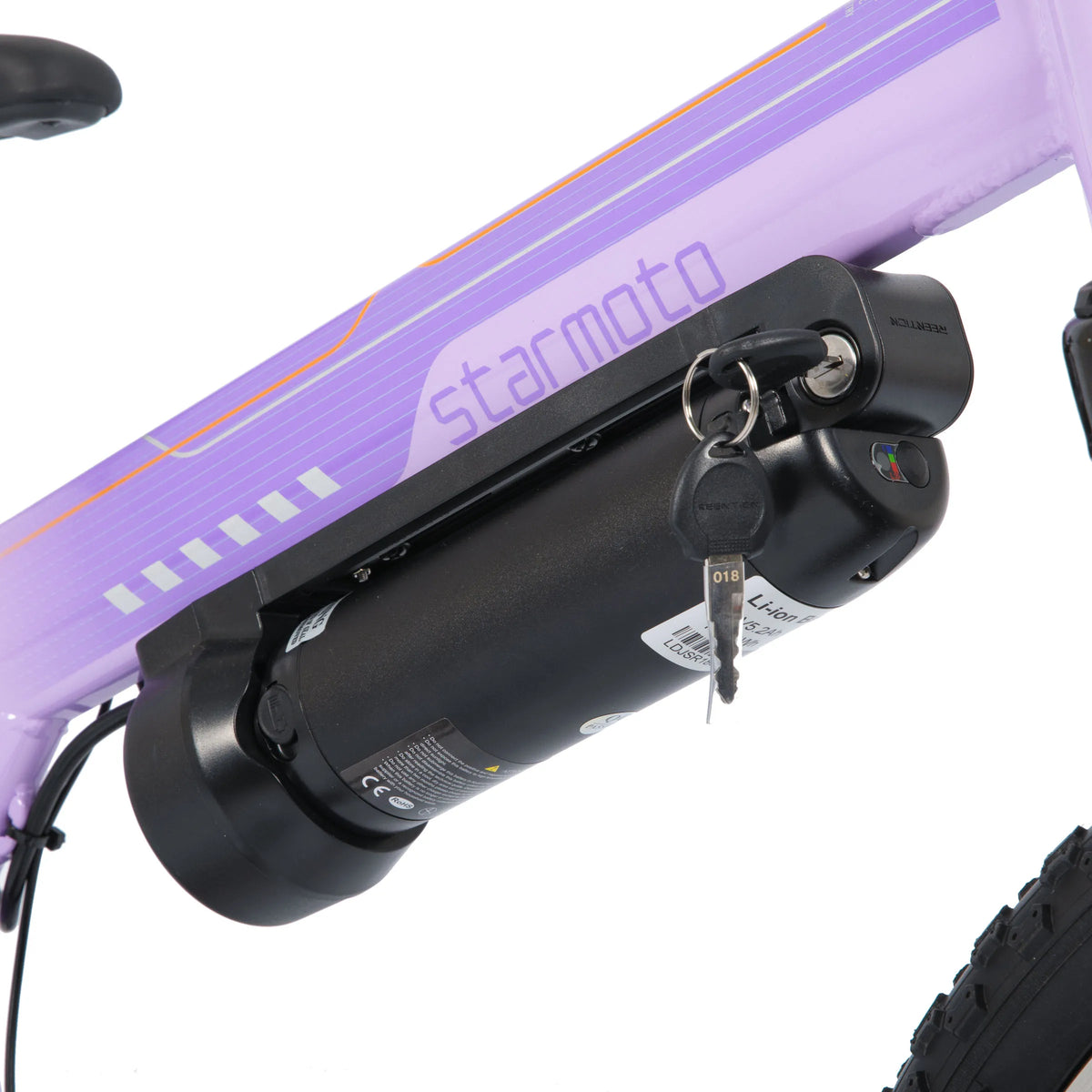 Kids' Electric Mountain Bike for Boys, Girls & Teens Ages 7+, 20 Inch Ebike with 250W Brushless Motor, 15 Miles Range & 15.5MPH Speed, Removable Battery & Dual V-Brakes,.
