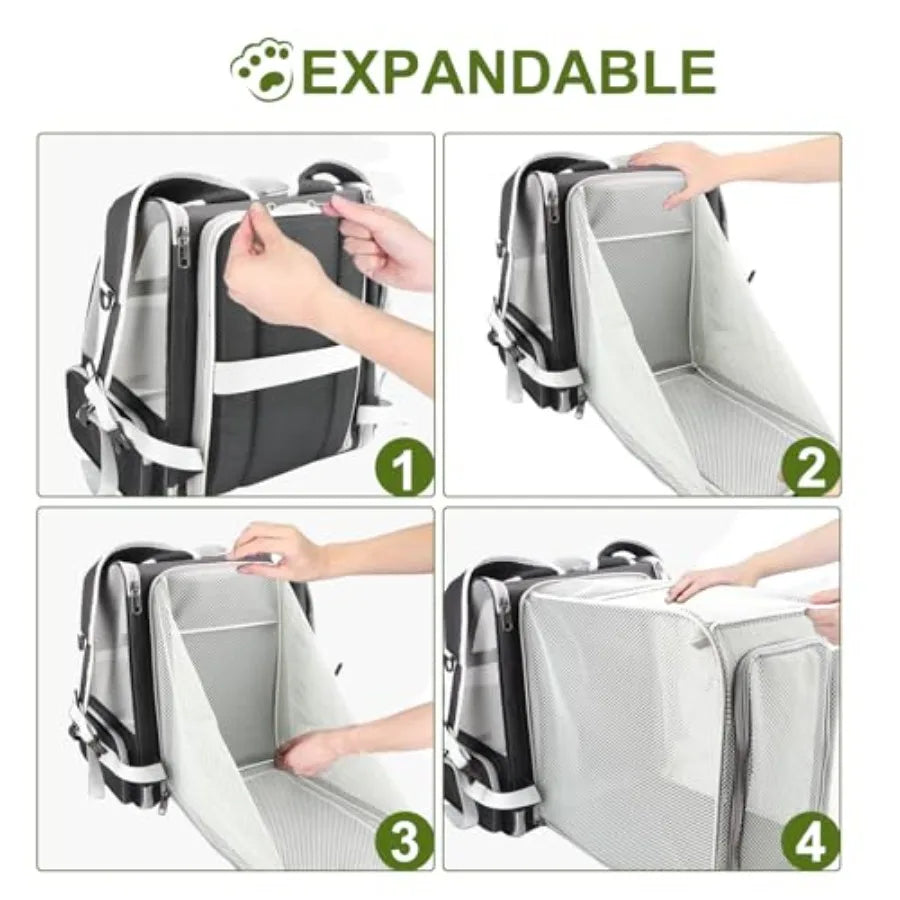Innovative Traveler Bubble Backpack Pet Carriers for Cats and Dogs