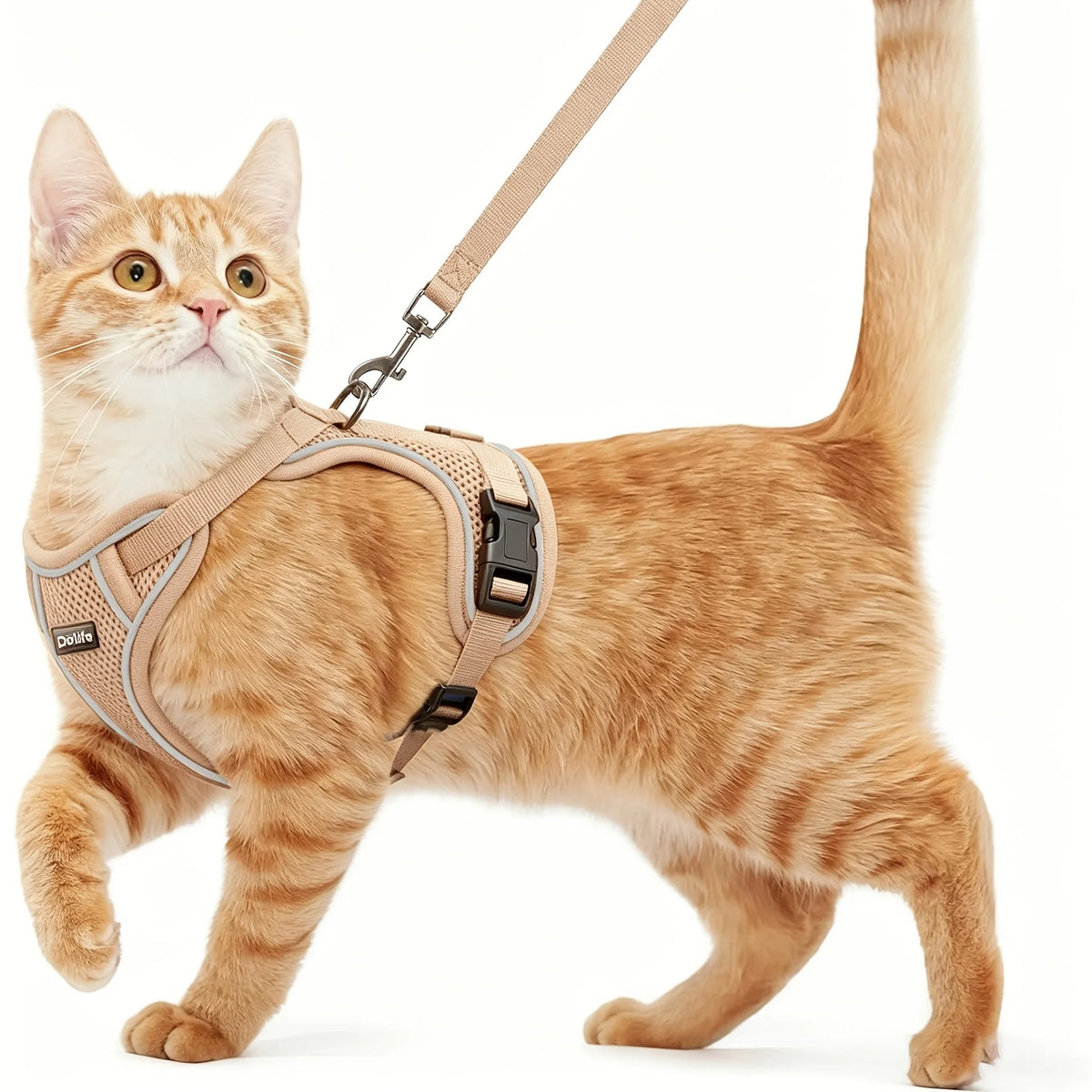 Cat Harness And Leash Set Anti‑Escape Soft Adjustable Breathable Vest‑Style Harness Easy Wear Comfort Safety Kit For Kitten .