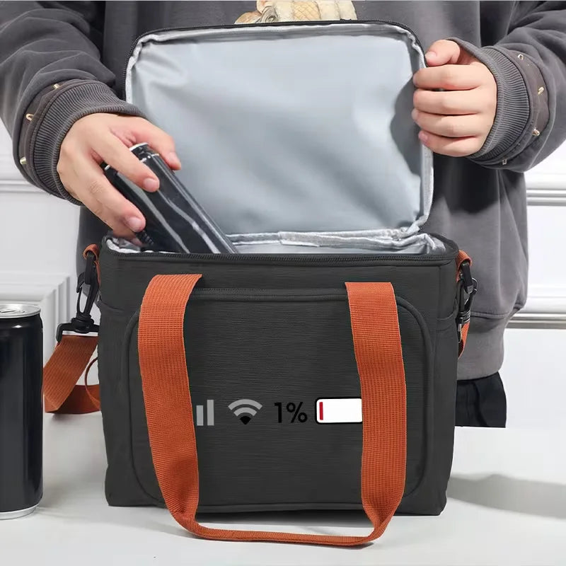 `Portable Insulated Lunch Cooler Tote Handbag, Reusable Thermal Storage Bag .