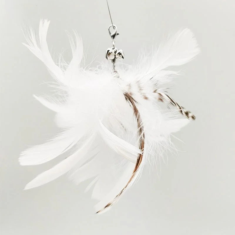 Bird/Feather Cat Wand with Bell Powerful Suction Cup  Cats Kitten Hunting Exercise