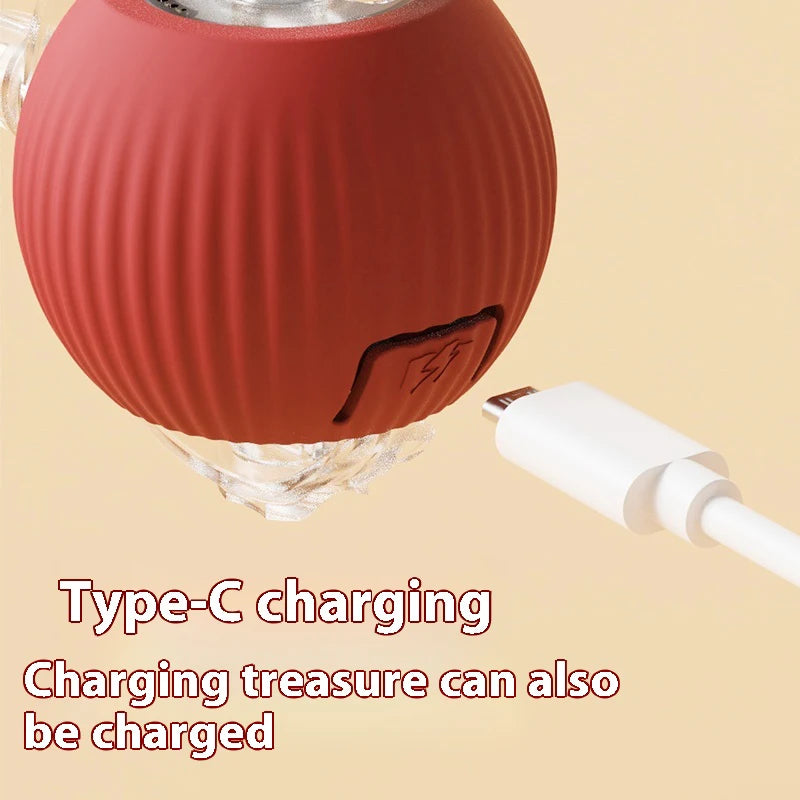 New Electric Cat Ball Toys Automatic Rolling Ball With Teaser Bird  Rechargeable
