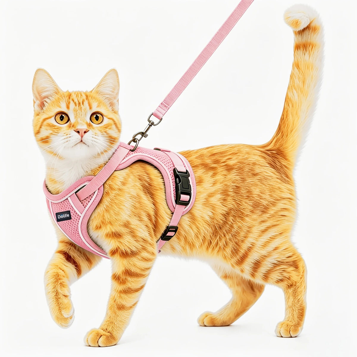 Cat Harness And Leash Set Anti‑Escape Soft Adjustable Breathable Vest‑Style Harness Easy Wear Comfort Safety Kit For Kitten .
