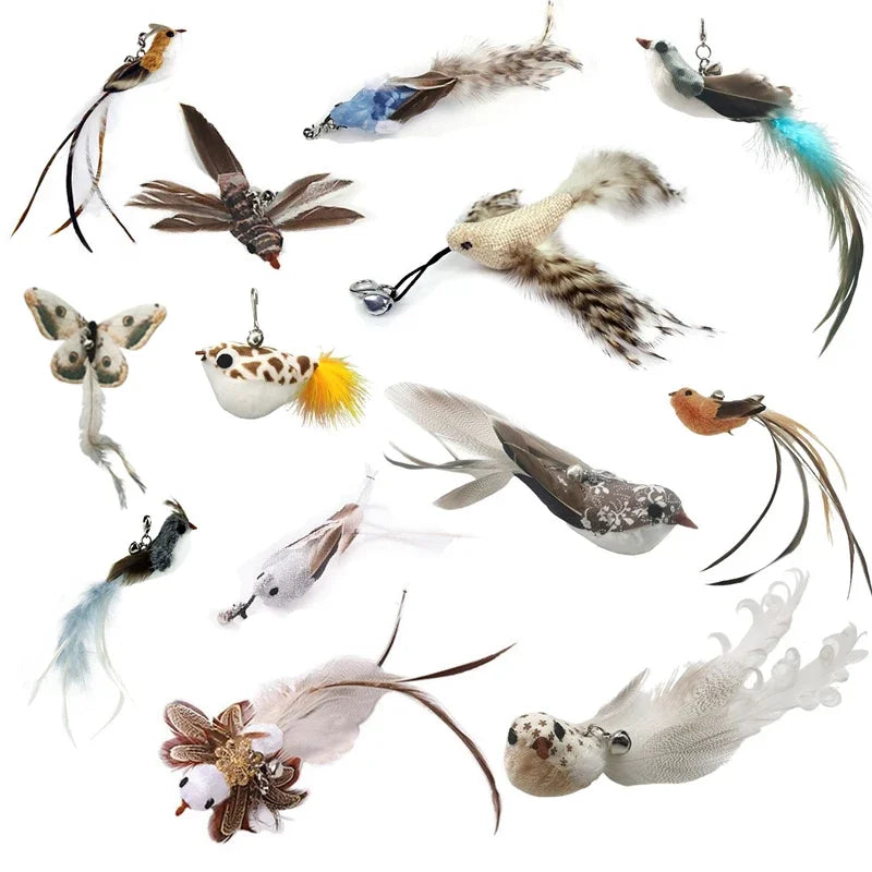 Bird/Feather Cat Wand with Bell Powerful Suction Cup  Cats Kitten Hunting Exercise