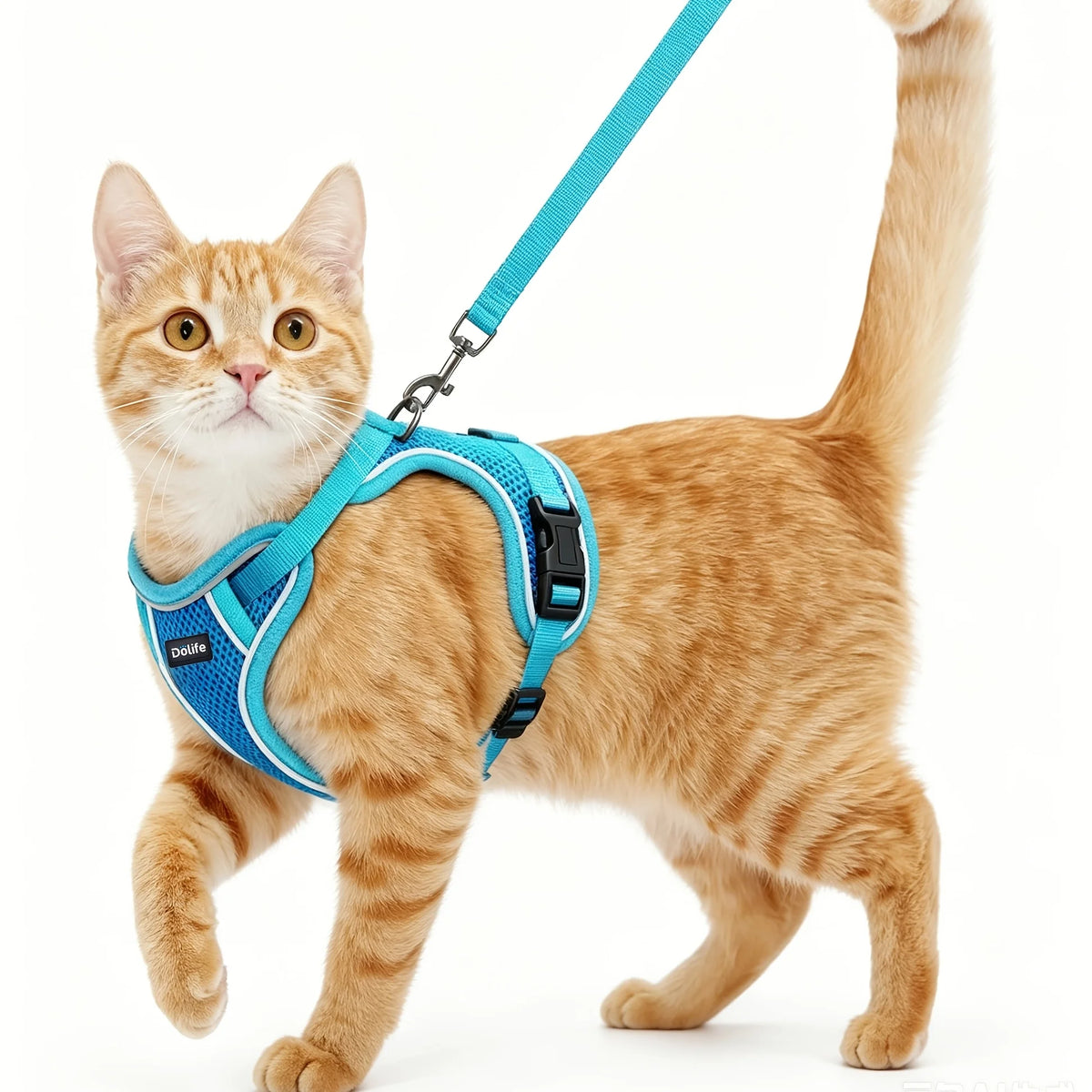 Cat Harness And Leash Set Anti‑Escape Soft Adjustable Breathable Vest‑Style Harness Easy Wear Comfort Safety Kit For Kitten .
