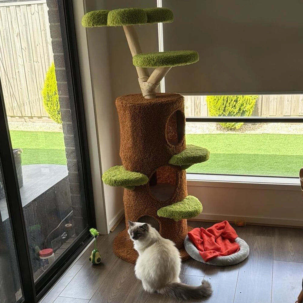 Luxury Wood Modern Cat Tree Tower Cat Scratching Post with Condo Bed .