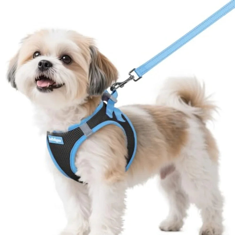 Dog Harness Small Sized and Leash Set, Step in Soft Vest Breathable Mesh, Easy Wear with Hook and Loop, .