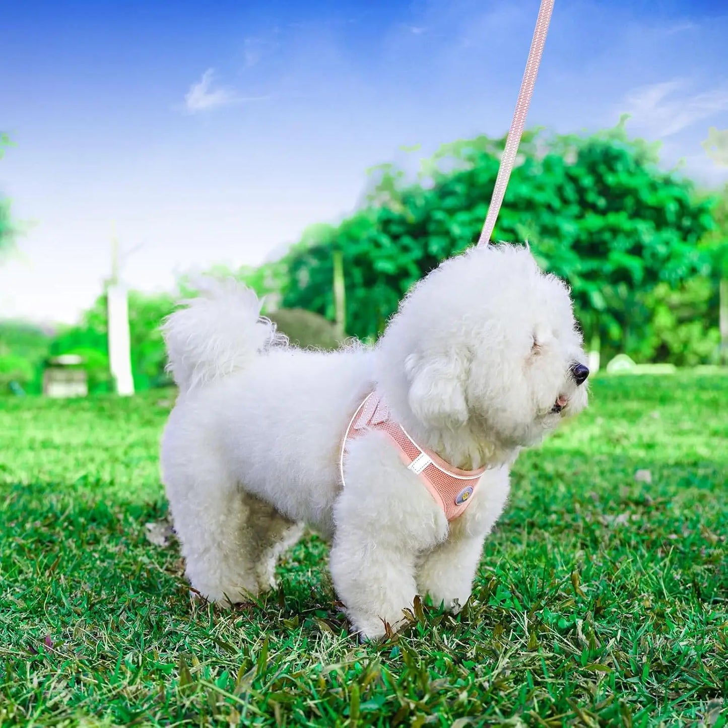 No Pull Dog Harness and Leash Set, Soft Mesh Vest for Small Medium Dogs Cats, Reflective Breathable Step .