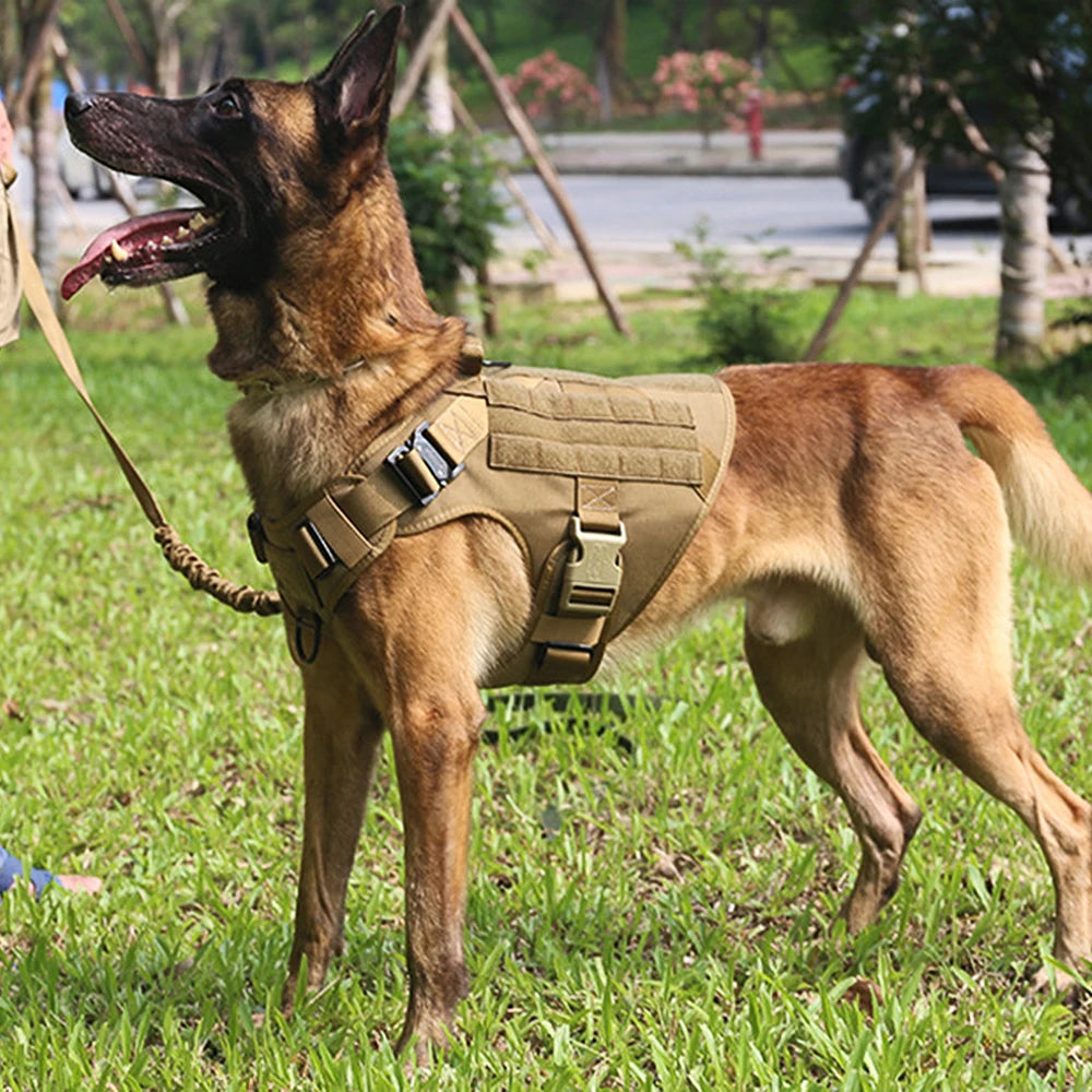 Large Dog Harness And Leash Set Pet German Shepherd Malinois Training Walking Vest Dog