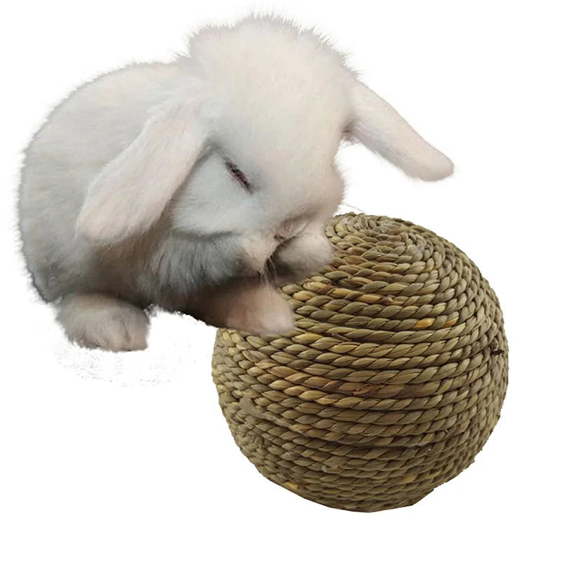 6/10cm Chewing Braided Ball Guinea Pig Rabbit Hamster