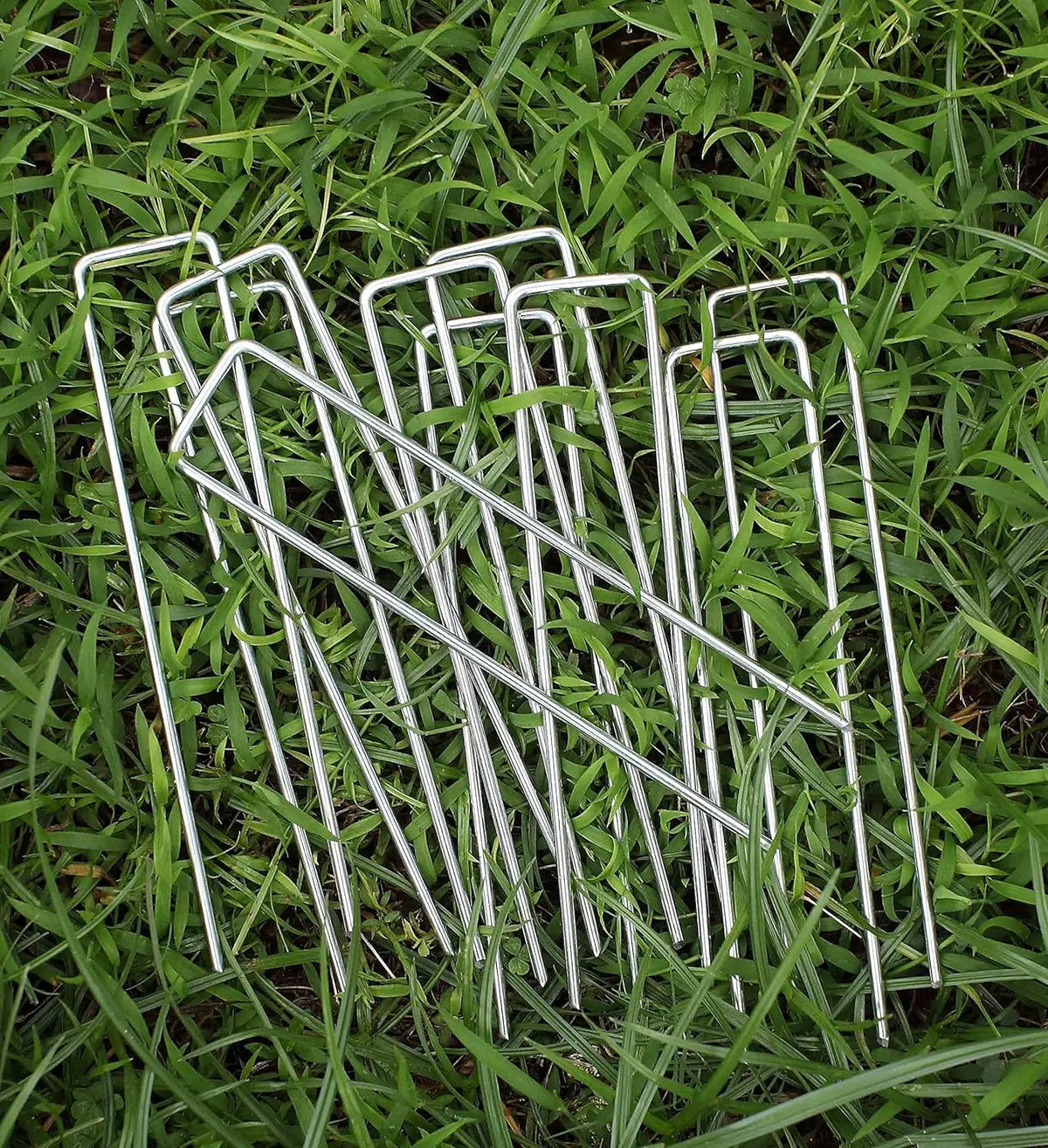 6 Inches 10Pcs  Heavy Duty Galvanized Steel Garden Stakes Staples Securing Pegs for Securing Weed Fabric Landscape Fabric Netting