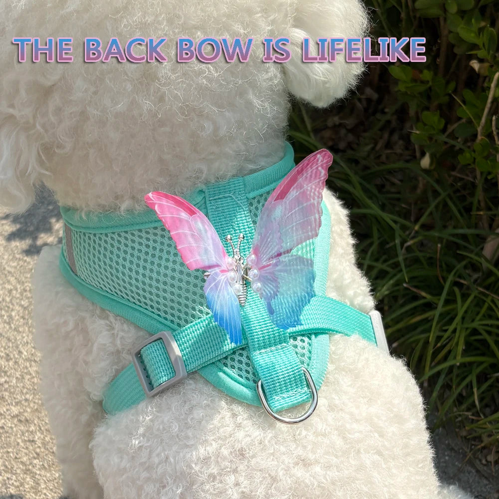 New Breathable Cute Cat Harness Set Butterfly Small Dog Harness.