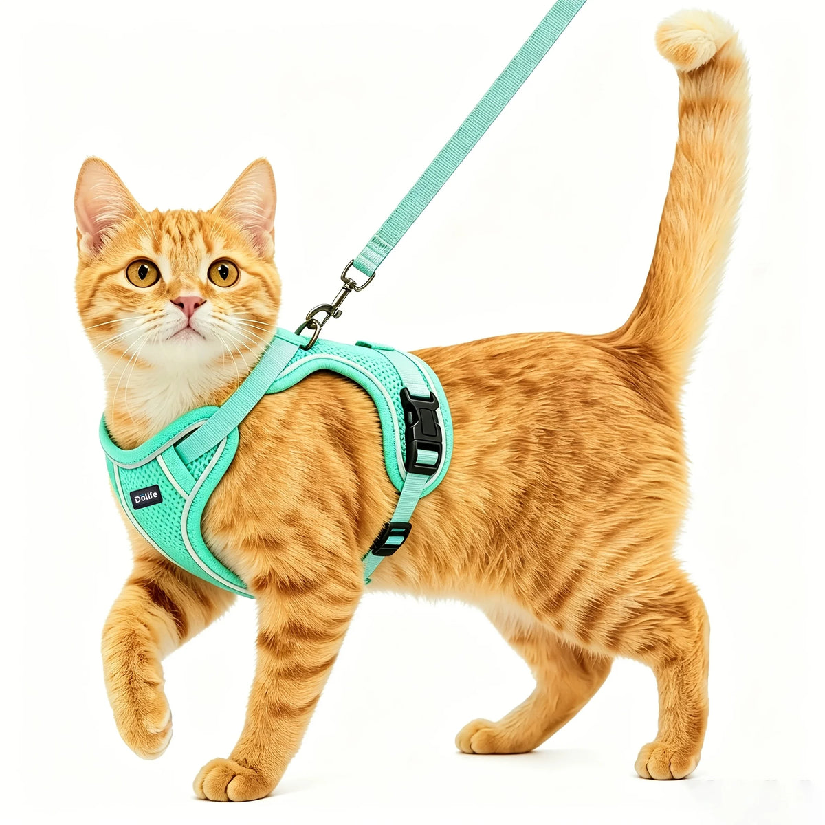 Cat Harness And Leash Set Anti‑Escape Soft Adjustable Breathable Vest‑Style Harness Easy Wear Comfort Safety Kit For Kitten .