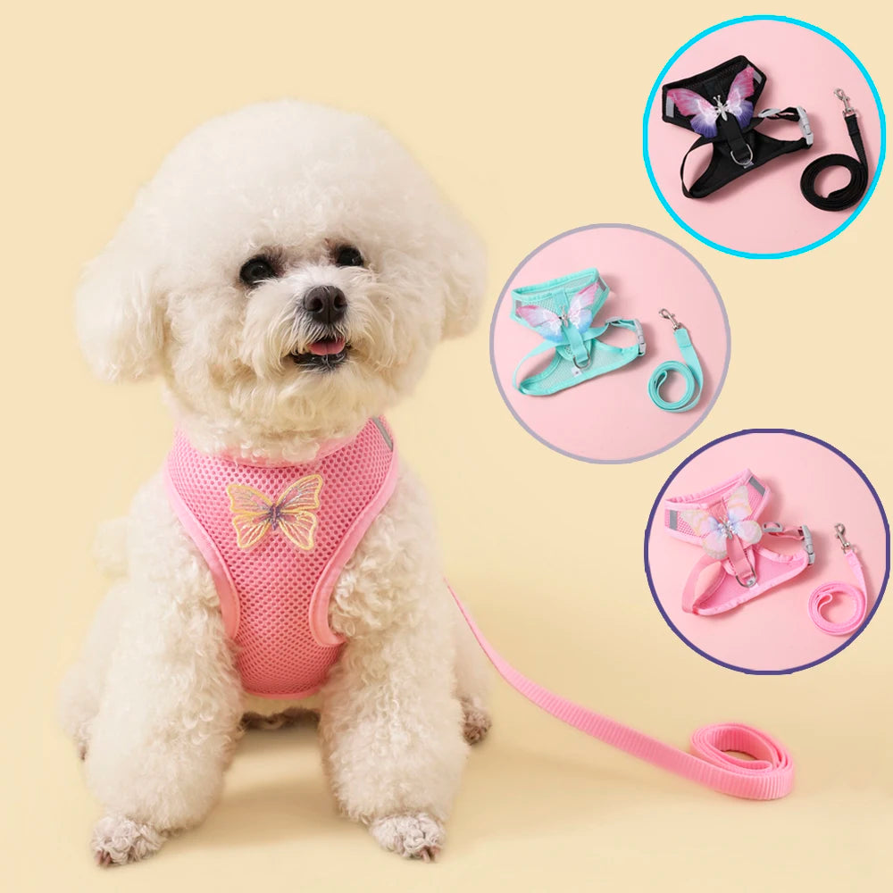 New Breathable Cute Cat Harness Set Butterfly Small Dog Harness.