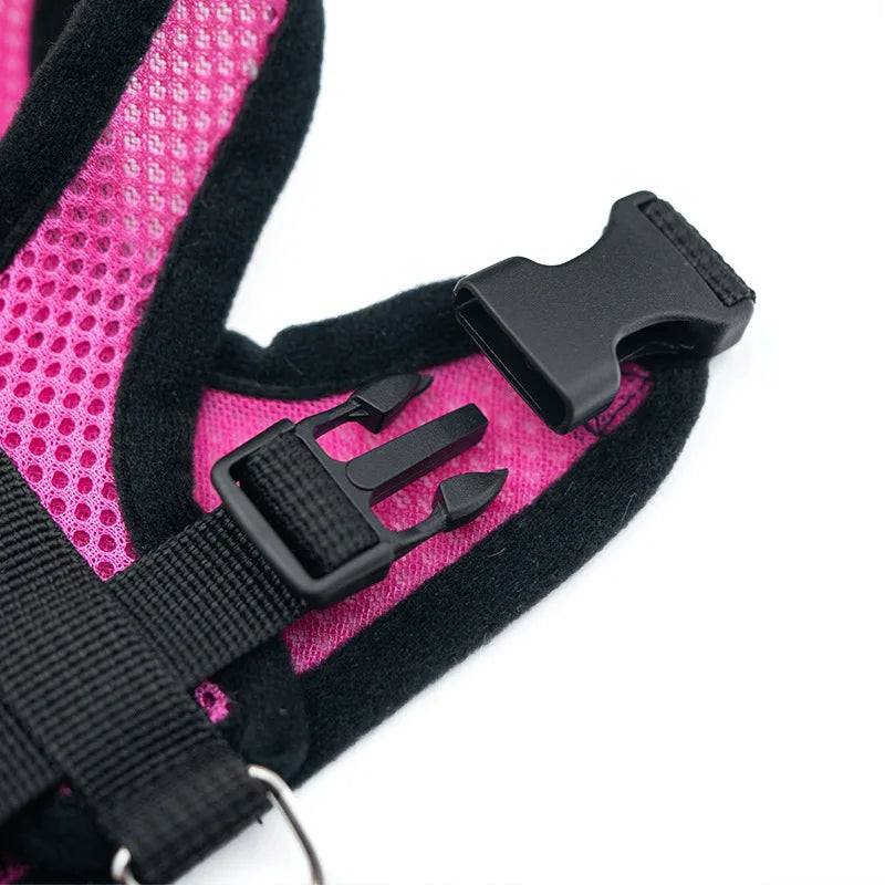Hot summer small dog pet chest and back breathable dog chest and back suit cat outdoor traction rope .