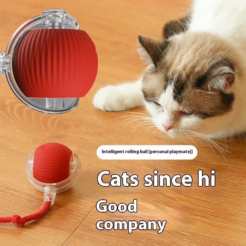New Electric Cat Ball Toys Automatic Rolling Ball With Teaser Bird  Rechargeable