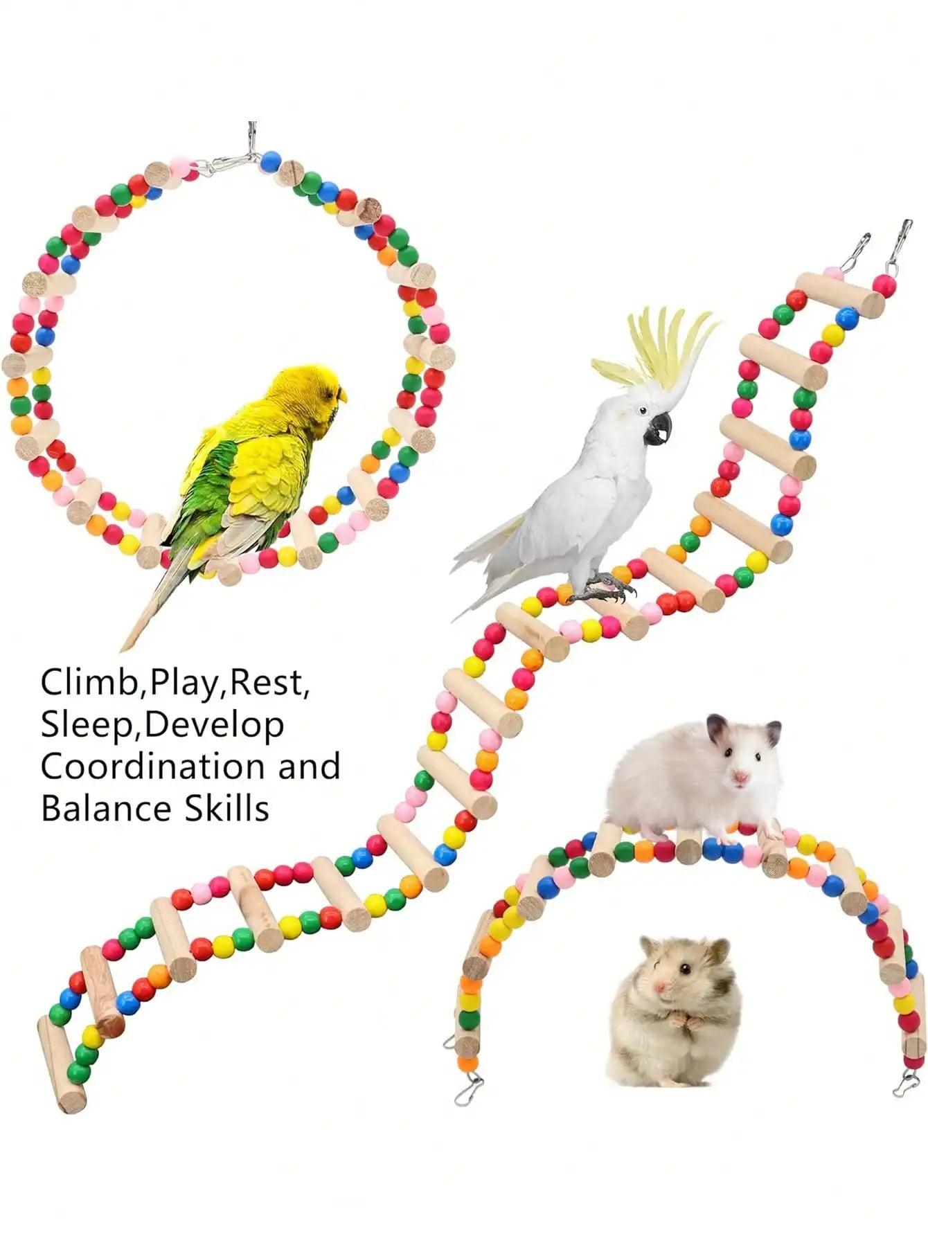 Multistep Bird Climbing Ladder T