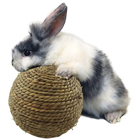 6/10cm Chewing Braided Ball Guinea Pig Rabbit Hamster