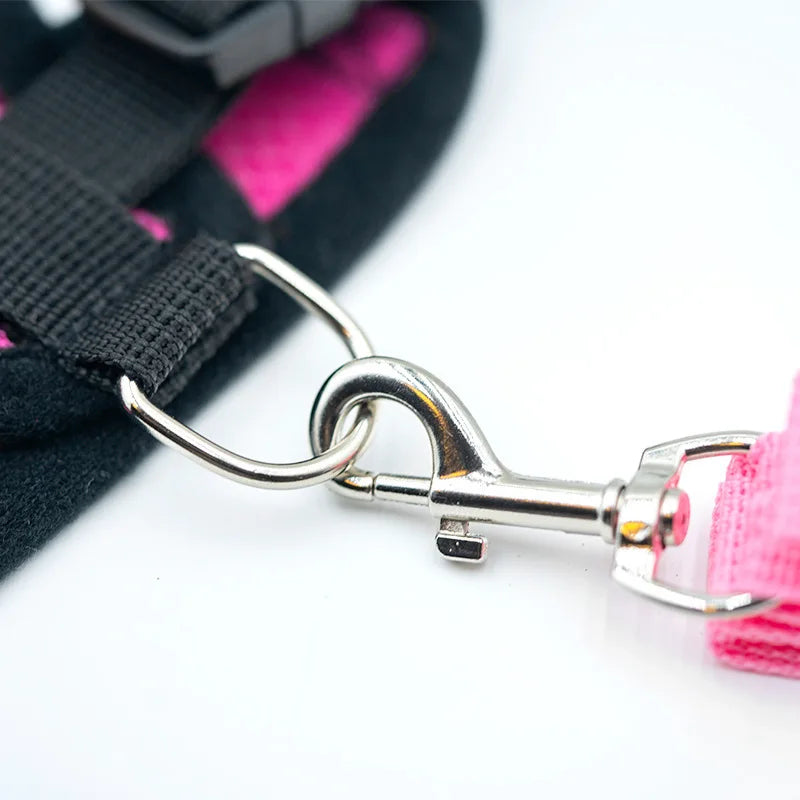 Hot summer small dog pet chest and back breathable dog chest and back suit cat outdoor traction rope .