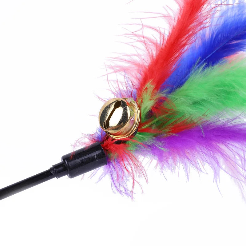 5pcs Funny Kitten Cat Teaser I with Bell and Feather