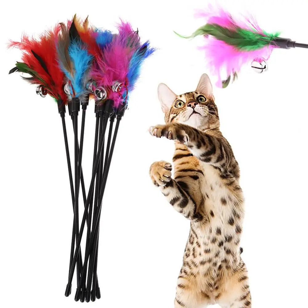 5pcs Funny Kitten Cat Teaser I with Bell and Feather