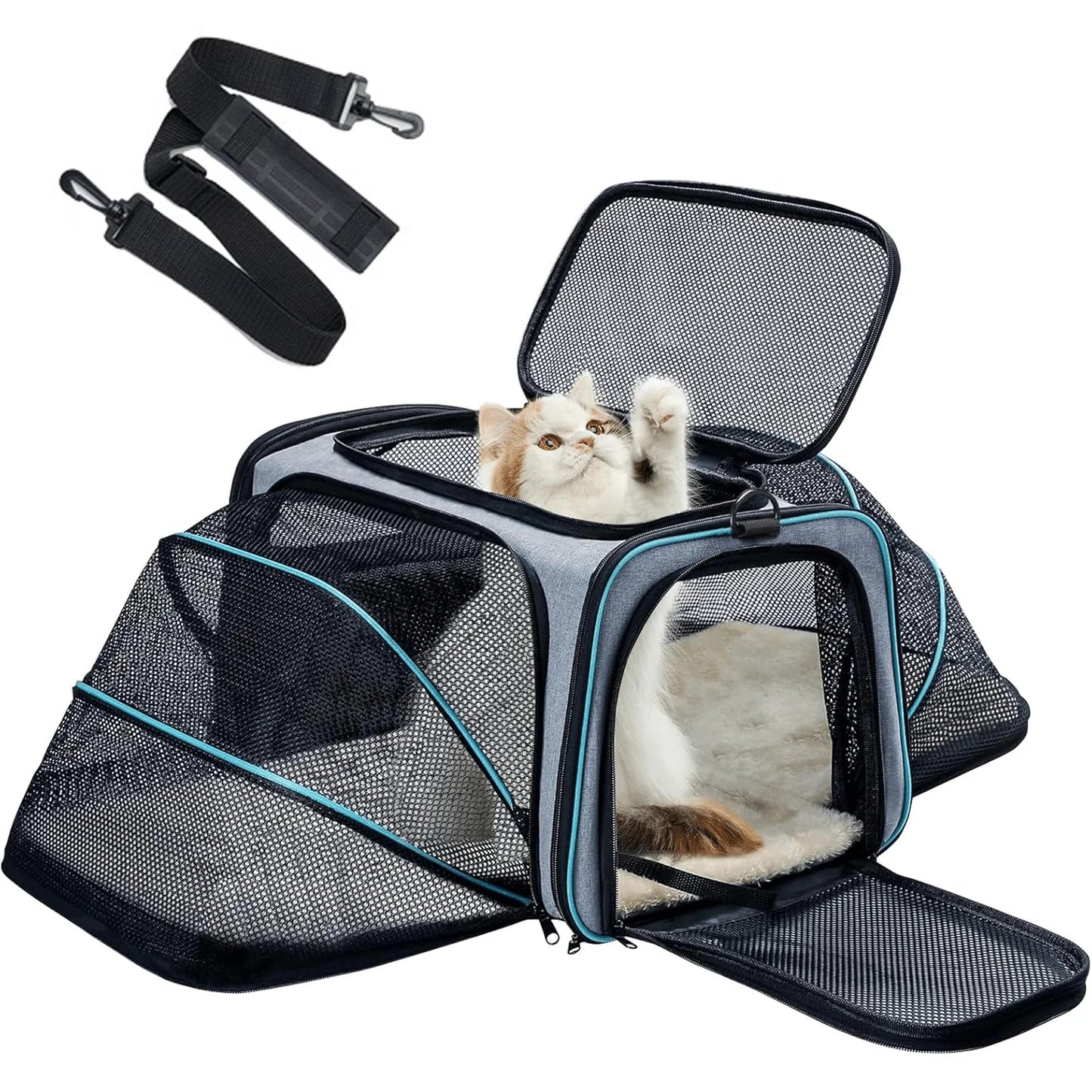 Airline Approved Pet Carrier, Cat Carrier, Dog Carrier With Removable Fleece Pad, .