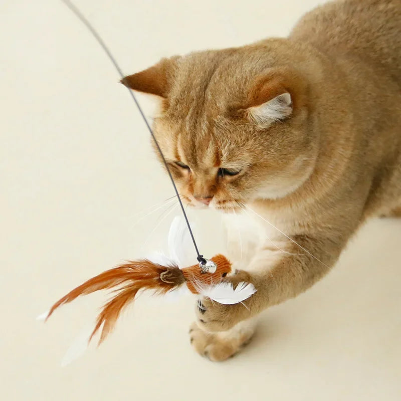 Bird/Feather Cat Wand with Bell Powerful Suction Cup  Cats Kitten Hunting Exercise