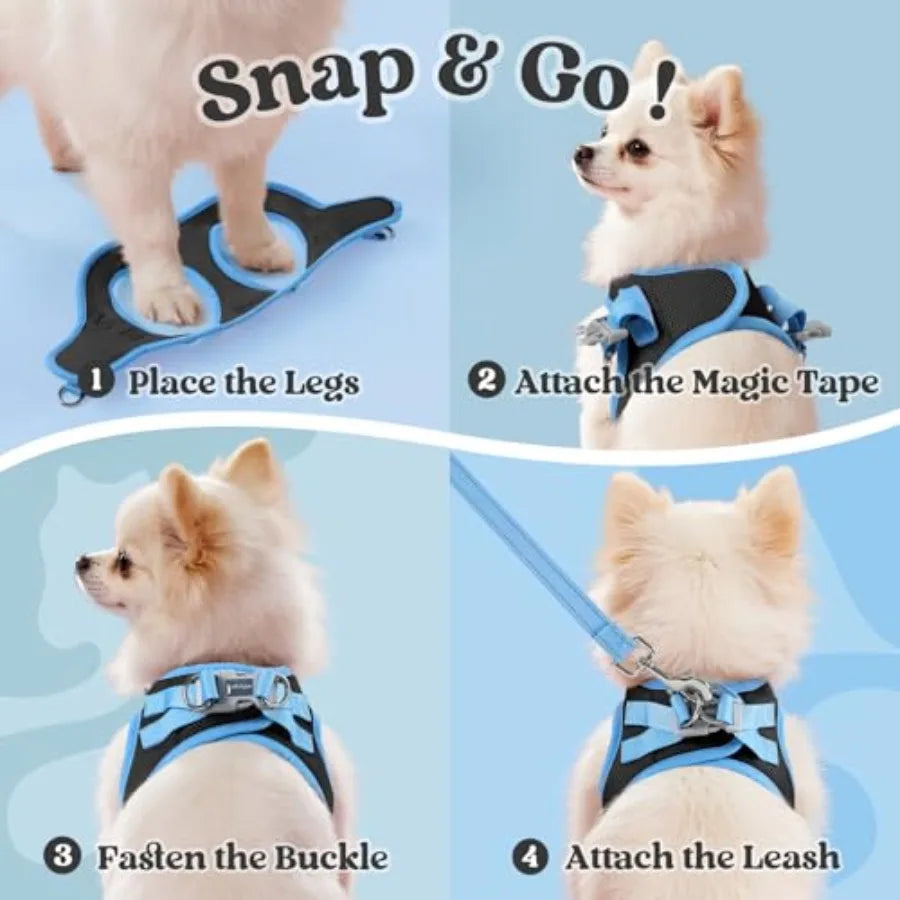 Dog Harness Small Sized and Leash Set, Step in Soft Vest Breathable Mesh, Easy Wear with Hook and Loop, .