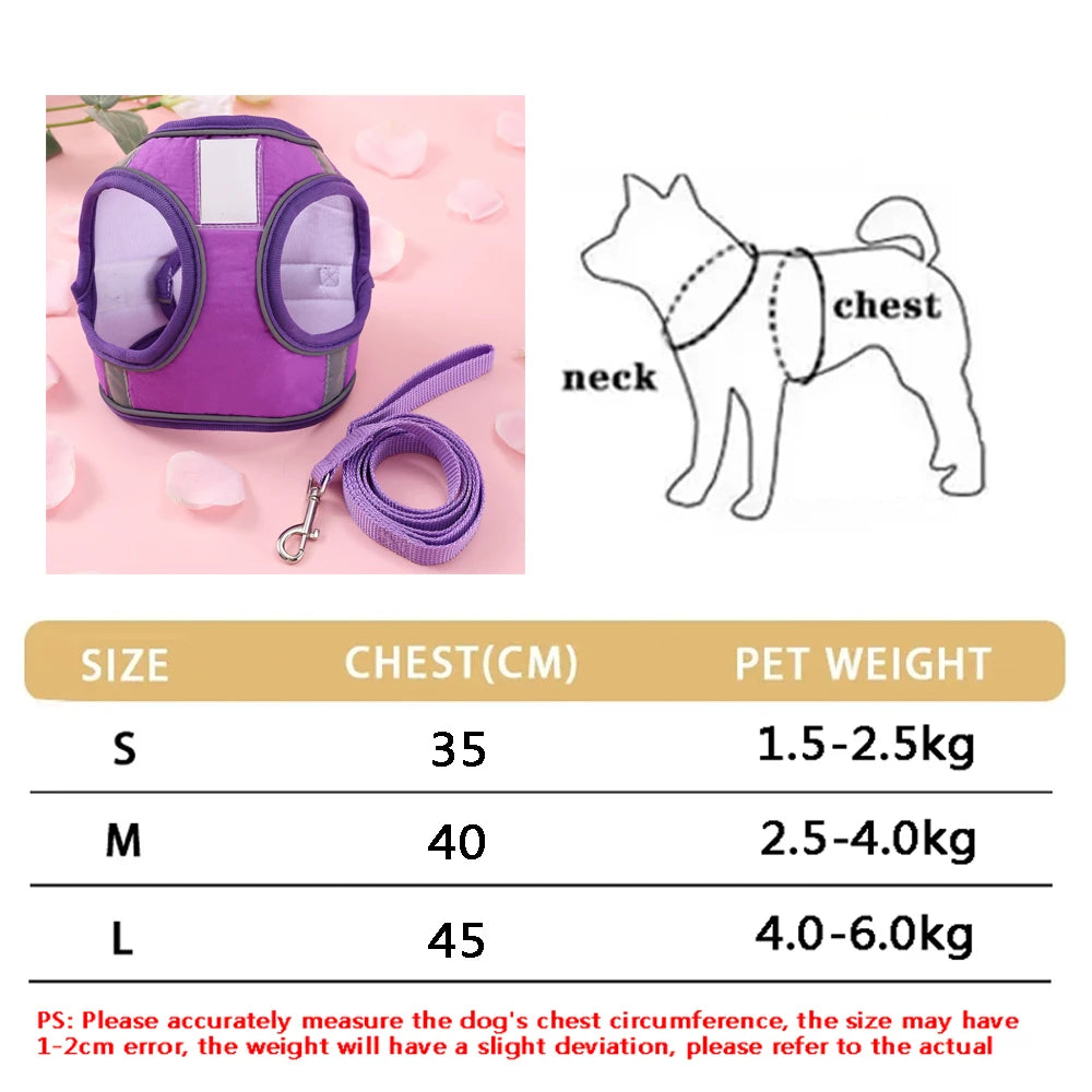 New Breathable Cute Cat Harness Set Butterfly Small Dog Harness.