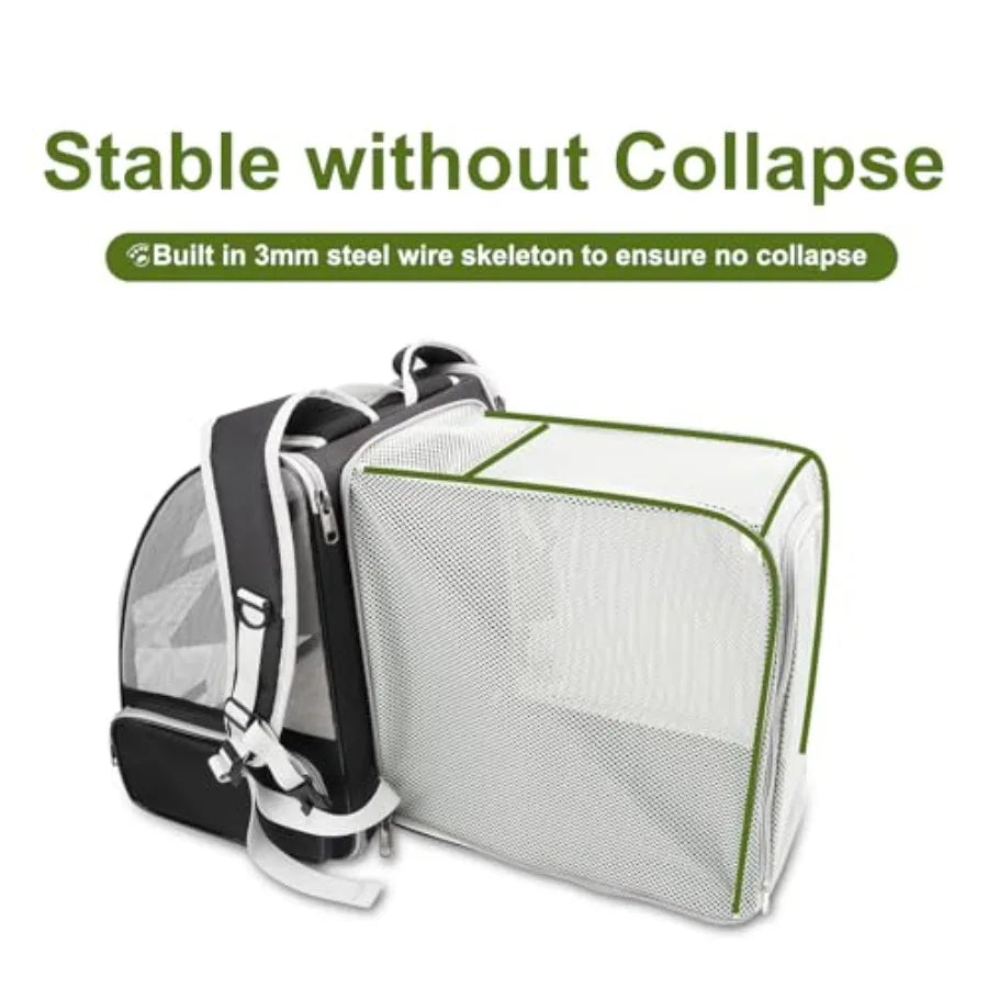 Innovative Traveler Bubble Backpack Pet Carriers for Cats and Dogs