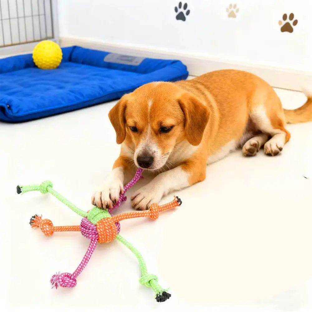 Durable Bite-Resistant Interactive Knot Toy for Dogs-
