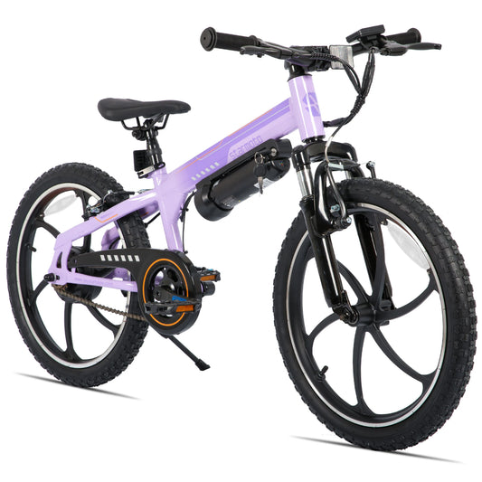 Kids' Electric Mountain Bike for Boys, Girls & Teens Ages 7+, 20 Inch Ebike with 250W Brushless Motor, 15 Miles Range & 15.5MPH Speed, Removable Battery & Dual V-Brakes,.