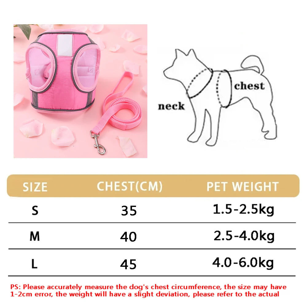 New Breathable Cute Cat Harness Set Butterfly Small Dog Harness.