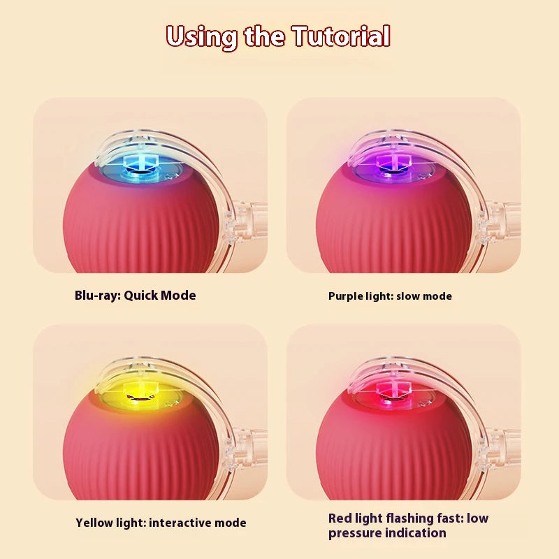 New Electric Cat Ball Toys Automatic Rolling Ball With Teaser Bird  Rechargeable