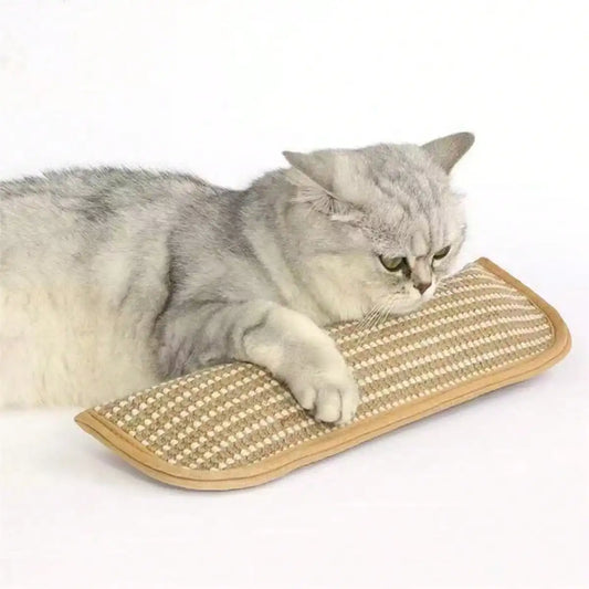 Catnip Filled Chewing Toy Durable Bite Resistant
