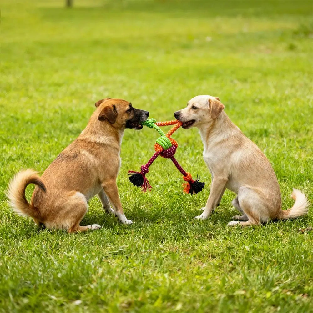 Durable Bite-Resistant Interactive Knot Toy for Dogs-